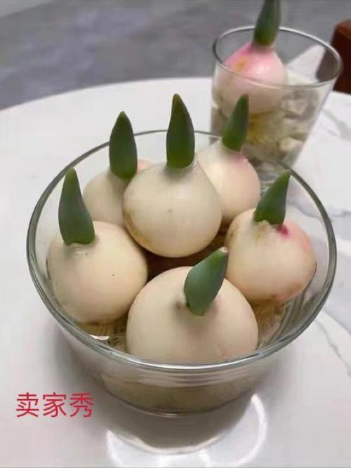 梦见买大蒜是什么意思