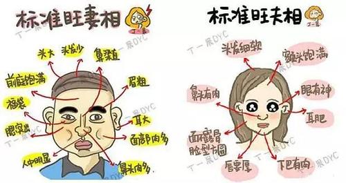 符合旺妻相的六特征