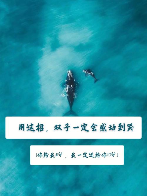 什么细节能感动双子男,没有新意就别轻易尝试