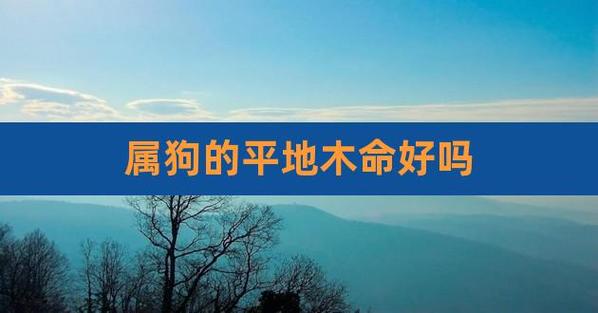 2021属狗的平地木命好吗