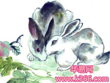 生肖属兔妈妈和生肖属鸡爸爸适合生什么属相的孩子