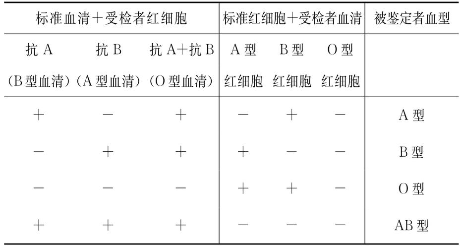 血型鉴定结果怎么看