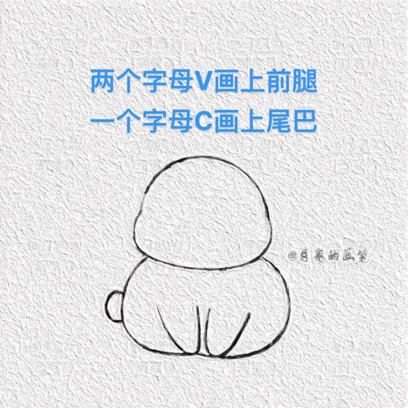 生肖兔配对十二生肖好不好