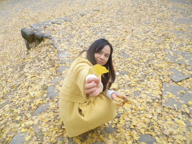 梦见千年古树