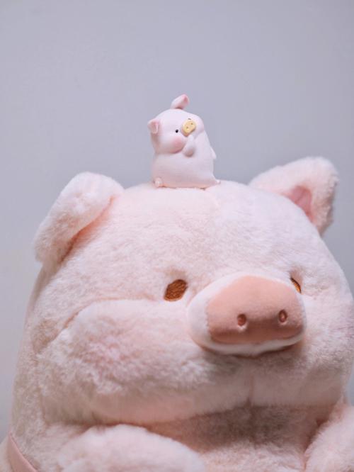 生肖猪爱上谁注定是场悲剧