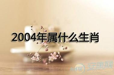 2004年是什么生肖年