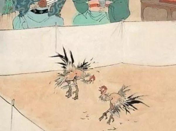 清明节为什么要斗鸡