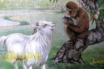 属猴的人会为什么而疯狂