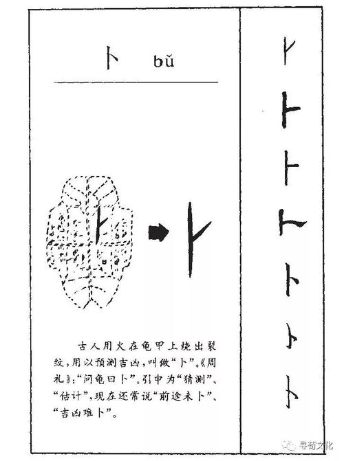 姓氏卜的起源和历史