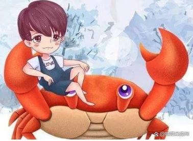 巨蟹女喜欢的男生