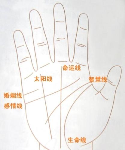 手掌三条线代表什么