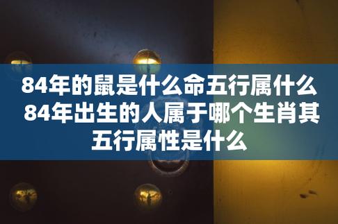 84年的鼠是什么命,五行属什么?