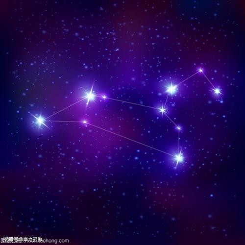 狮子座男生喜欢炫富吗