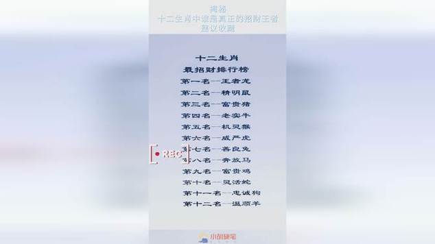 十二生肖当中好男人的排行榜