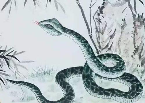 金蛇命缺什么 运势发展怎么样