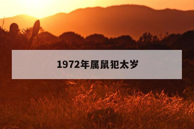 1972年出生49岁的属鼠男2021年下半年运势怎么样