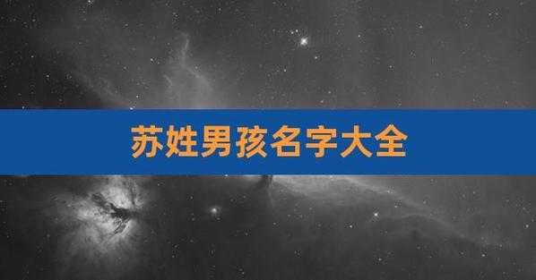姓苏单字取名有哪些