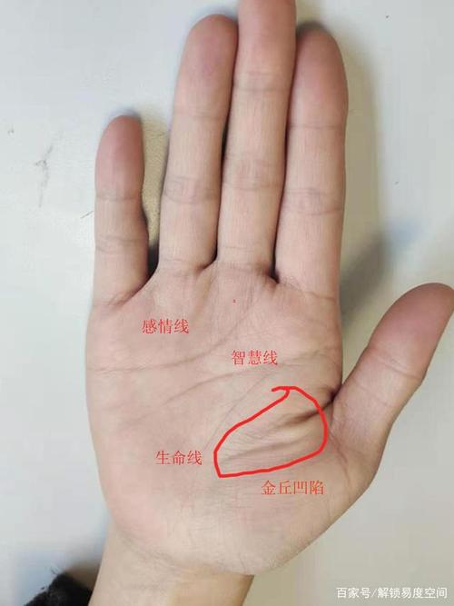 大格局大命运手相