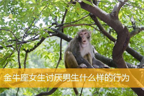 金牛座女生反感什么样的男生