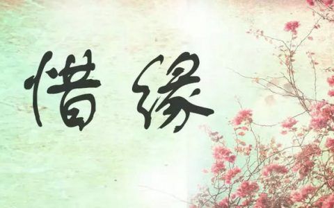 测婚姻是否缘分已尽