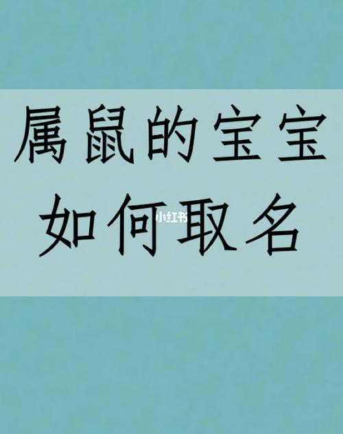 属鼠的晋姓女宝宝名字
