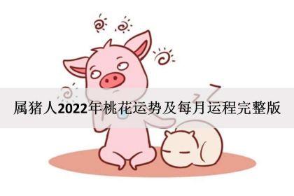 属猪人2022年春节桃花运
