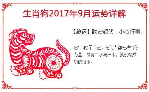 金秋9月十二生肖感情运