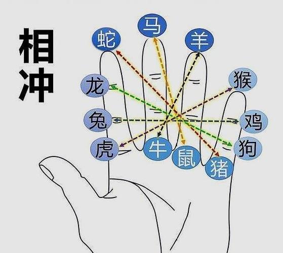 哪些生肖之间一见面就掐