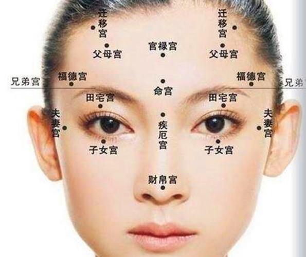 天生会赚钱的鼻相