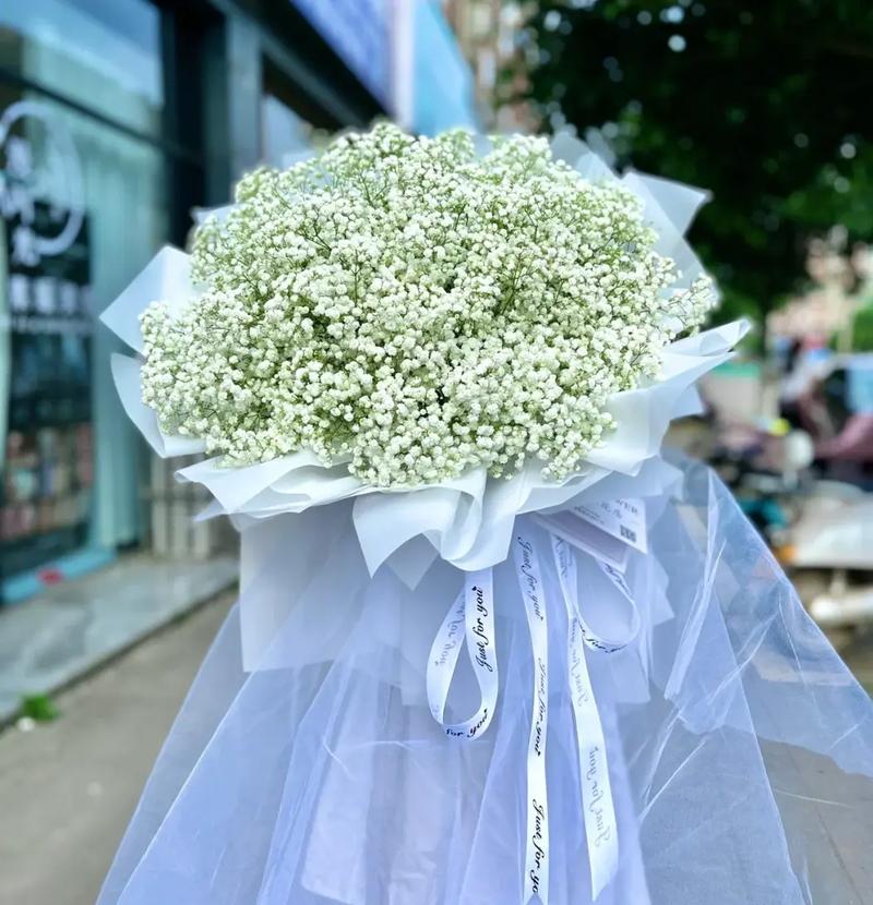 满天星花语:清纯、关怀、思恋、配角、真爱