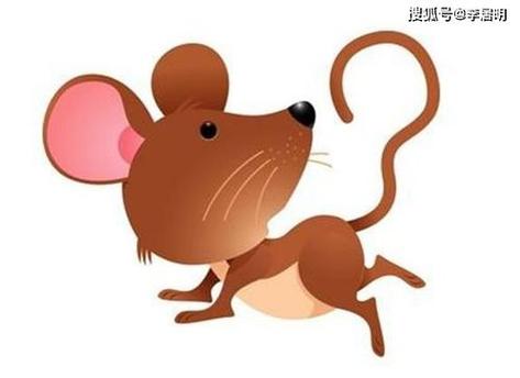 属鼠人在2021辛丑年12月会离职吗