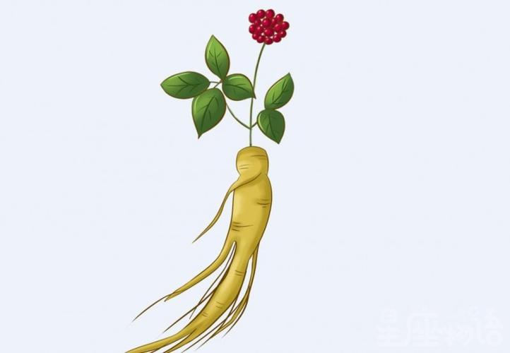 梦见孕妇梦见人参是什么意思