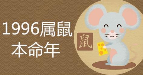 属老鼠96年的是什么命