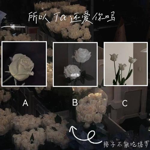 爱情是幸福生活的能量,可如何寻觅真爱呢?