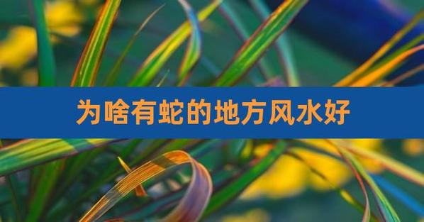 有蛇出没的地方风水极佳