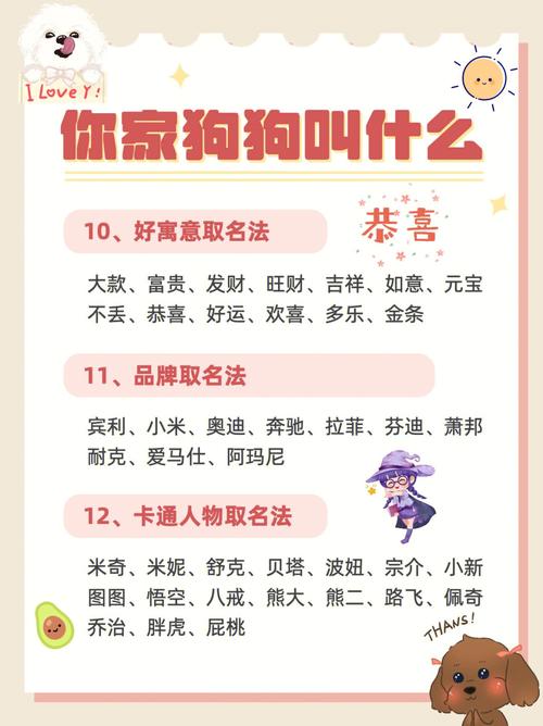 一波萌萌哒的宠物名字先到先得哦