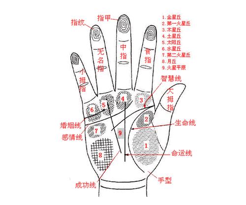 看看你是否拥有一双发财的手吧