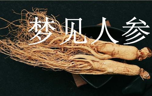孕妇梦见人参