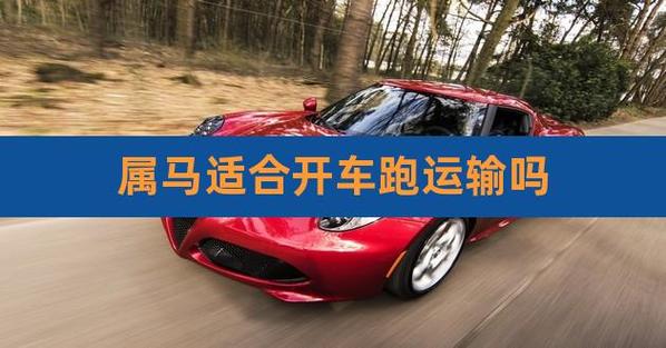 属马的人适合开车吗