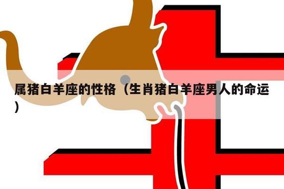 属猪白羊座男生性格