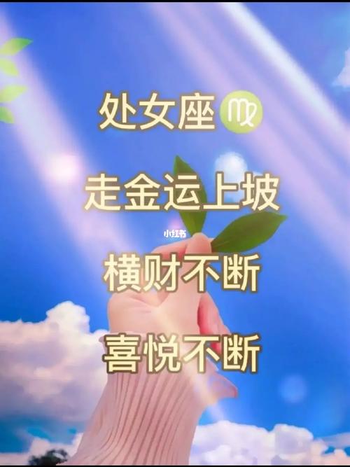 接下来两个月 金运缘厚 桃花爆棚的星座