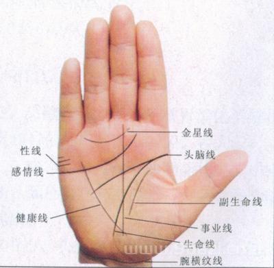算命看相:女子手相、生肖、八字、命运总是联系在一起的
