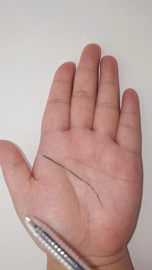 女人智慧线过长而下垂