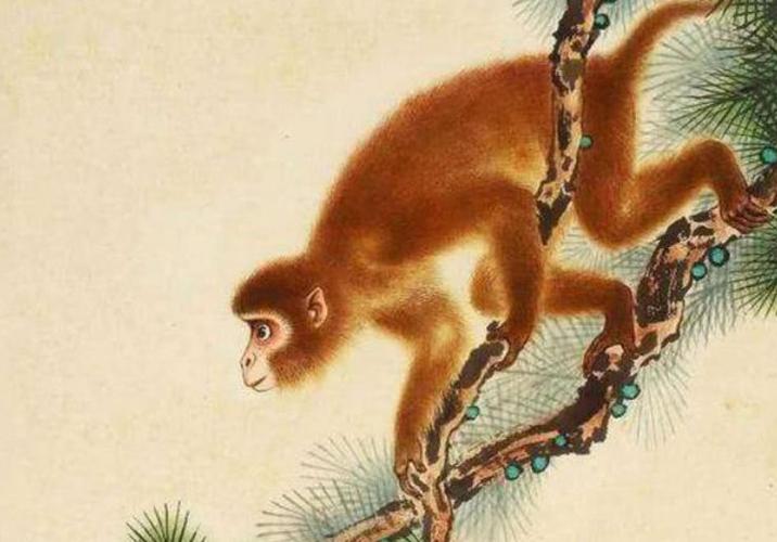 生肖猴努力奋斗一生是为了什么
