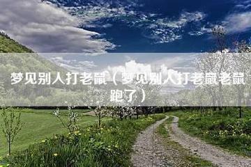 梦见别人打老鼠