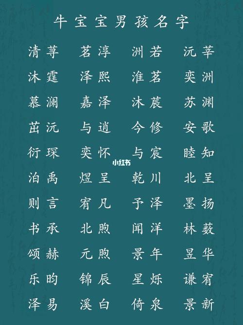 2021年11月18日出生男宝宝起什么名字好