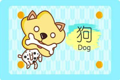 15岁属狗人的运势