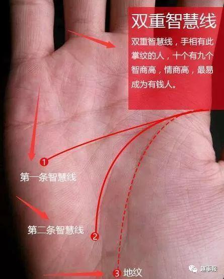 双重智慧线的手相