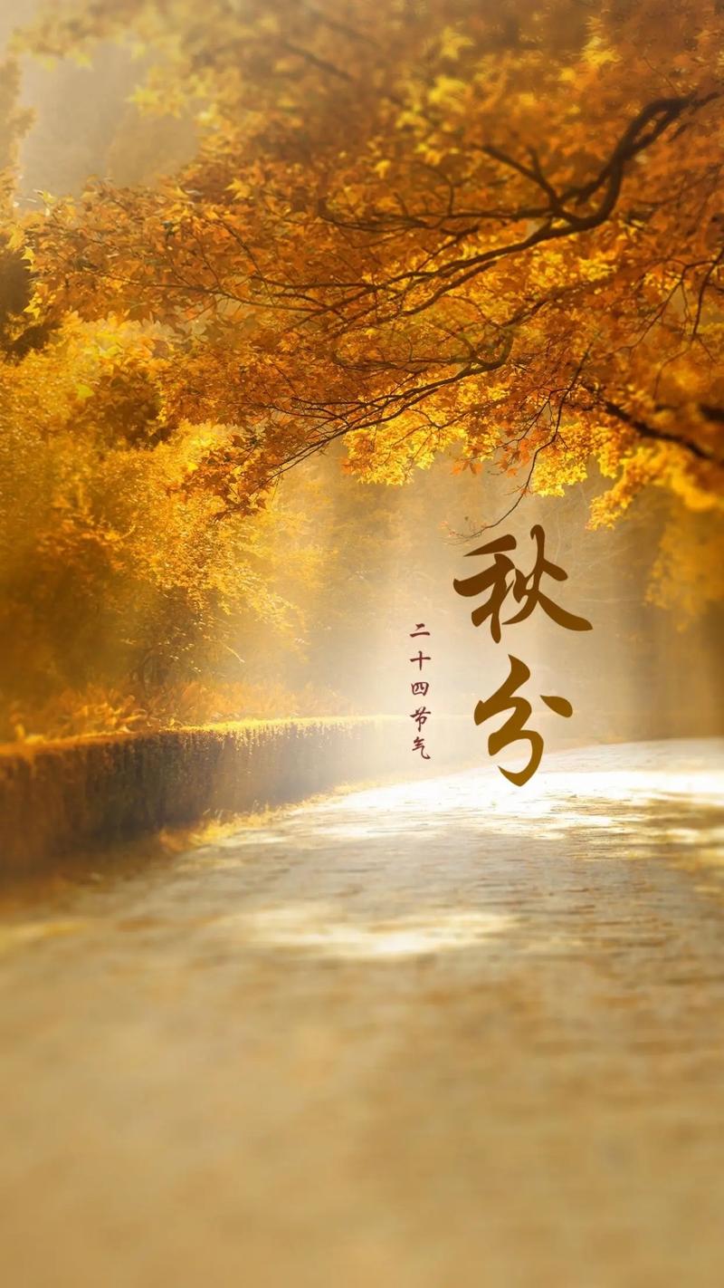秋分节气 | 秋去秋来,愿生活恰如其分