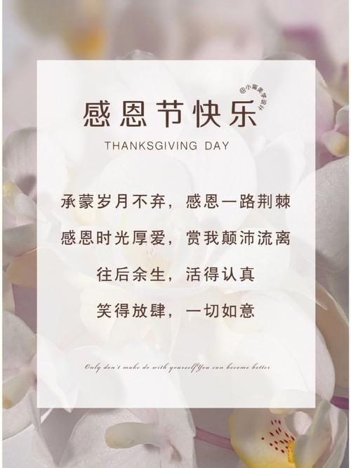 2023年感恩节适合结婚吗